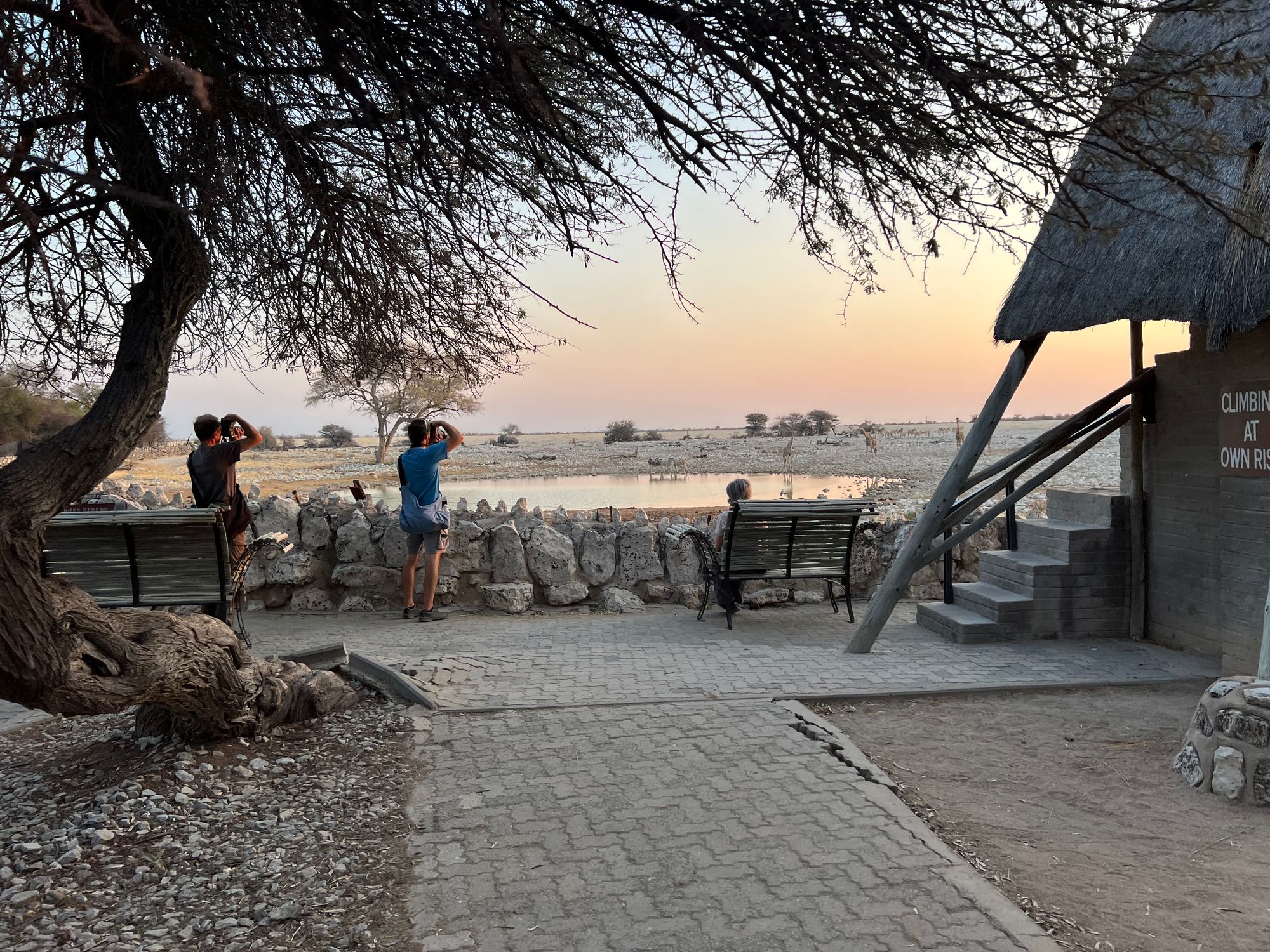 Day 9: Entering Etosha National Park - Camp Okaukuejo