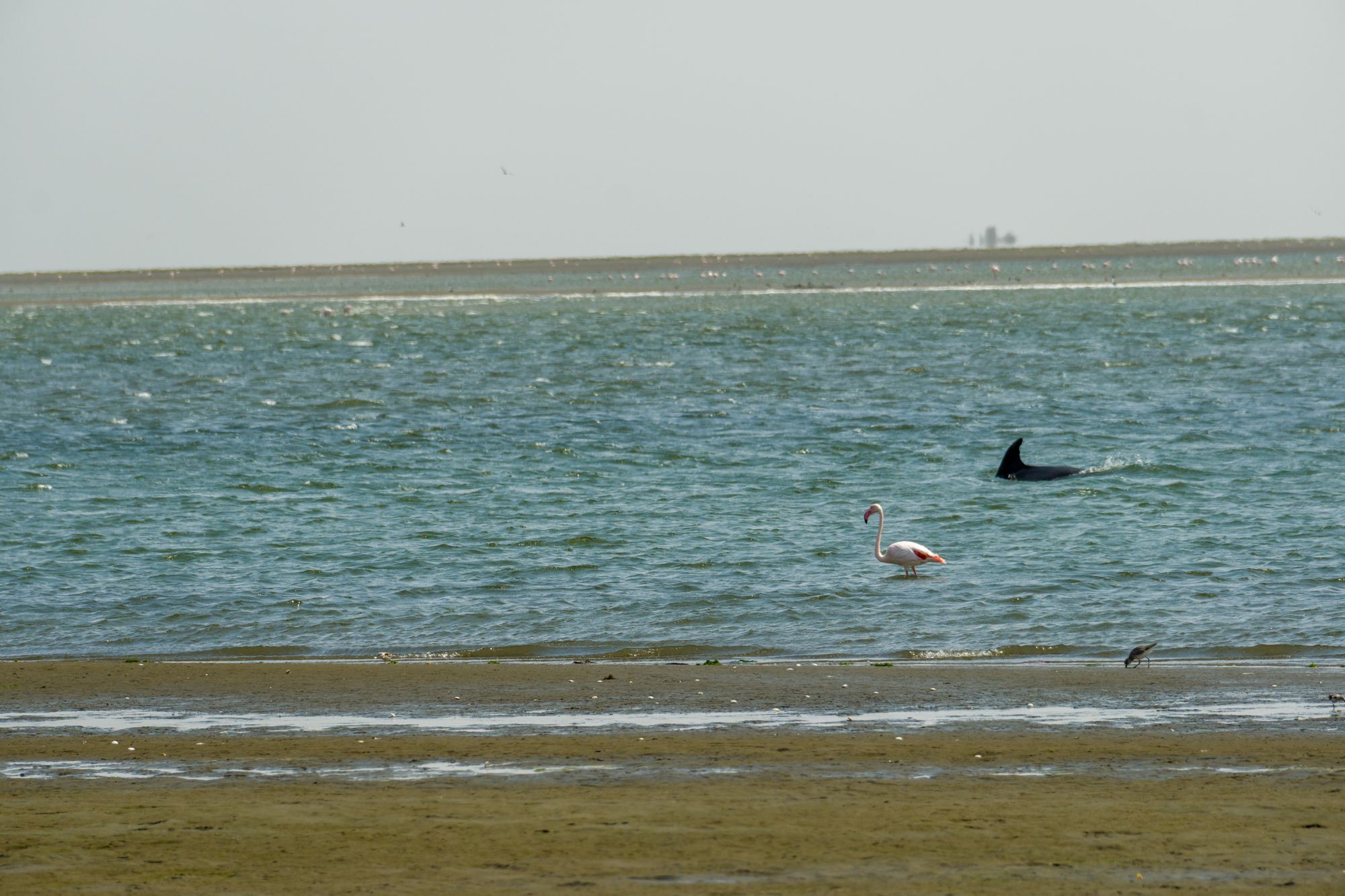 Day 5 and 6: Solitaire and Walvis Bay