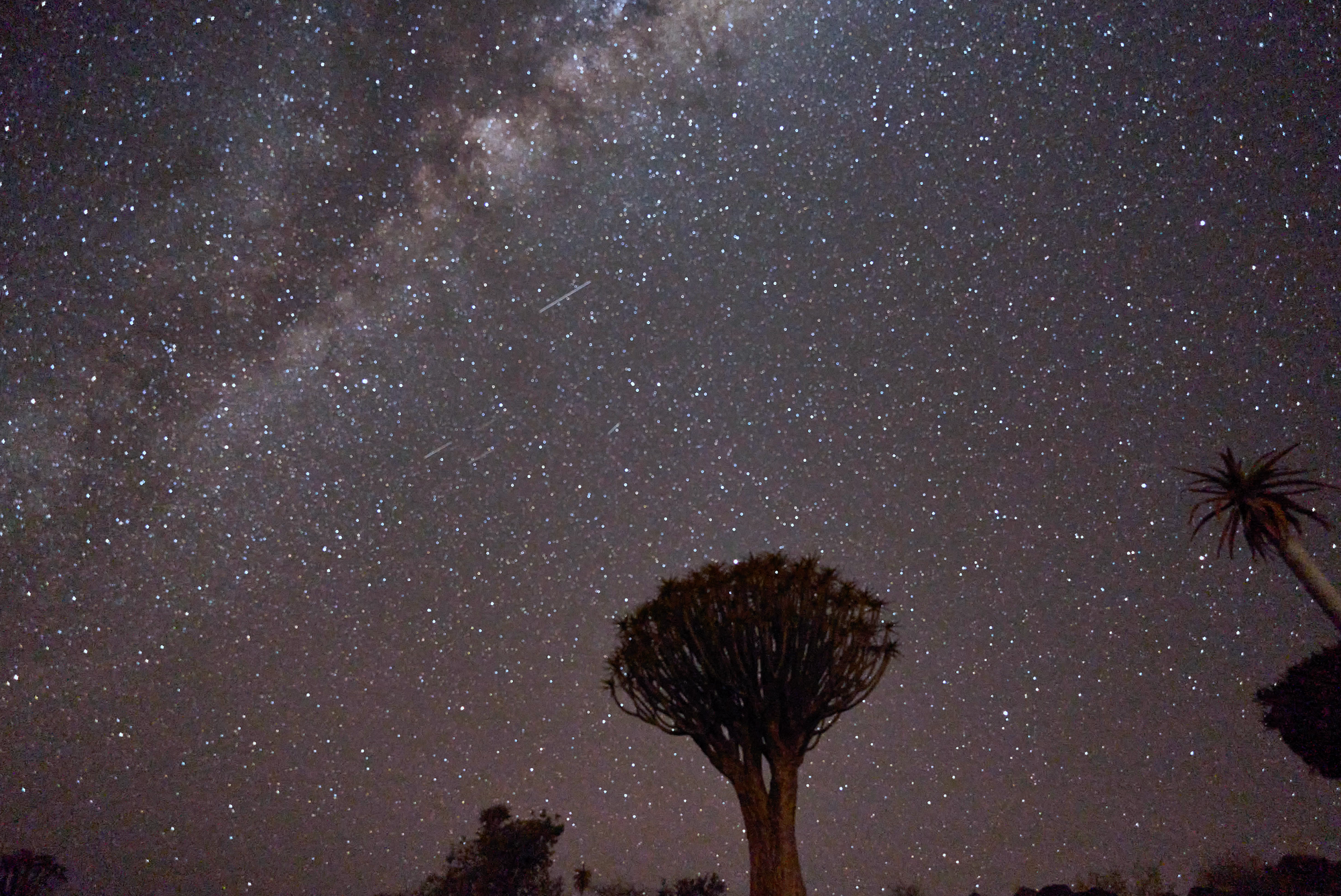 Milkyway time lapse at the Quivertree forest
